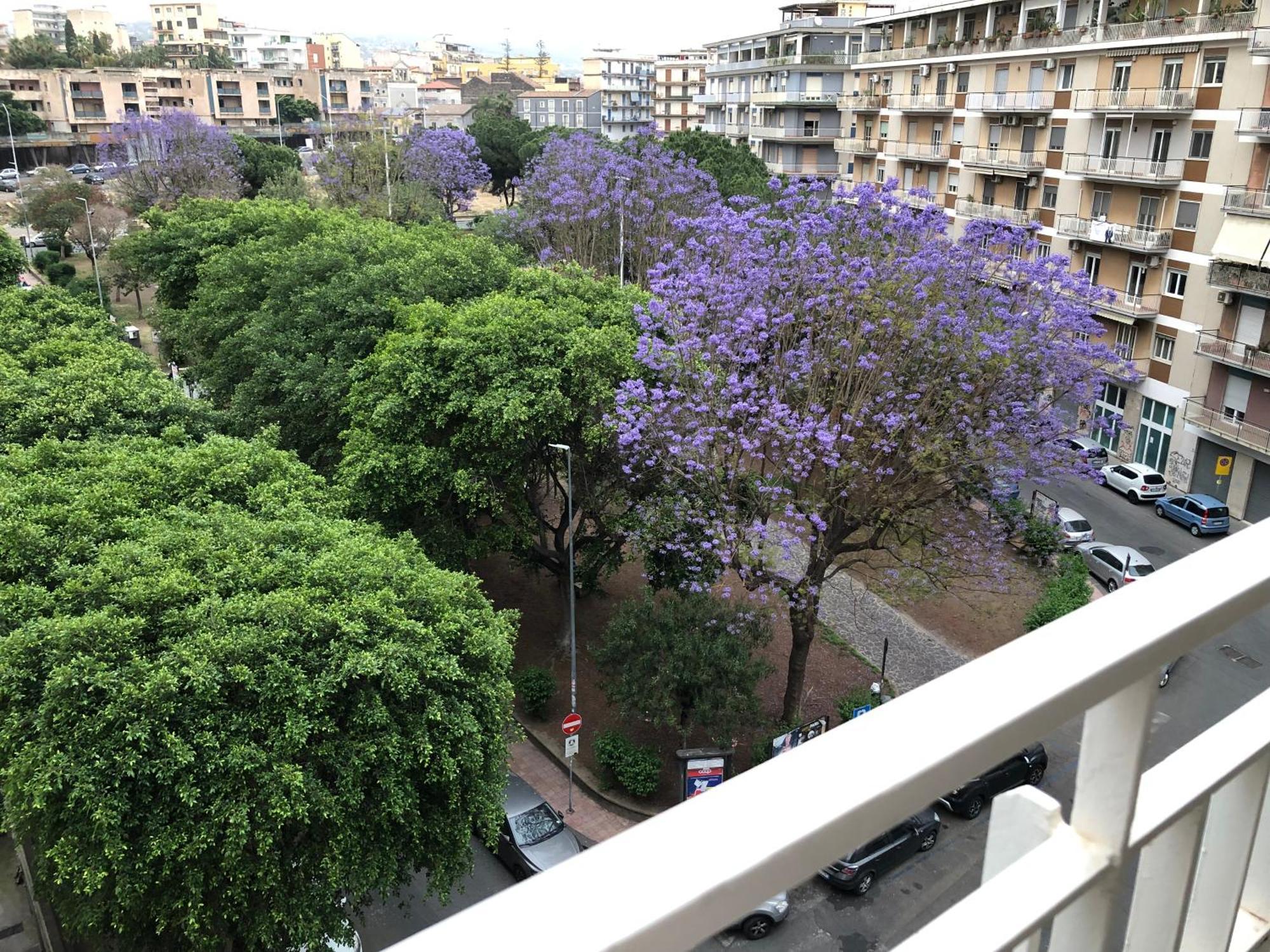 La Maison Blanche Catania Ngoại thất bức ảnh